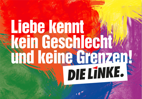 50 Jahre nach den Aufständen in New York kämpft DIE LINKE weiter für eine solidarische, und offene Gesellschaft.